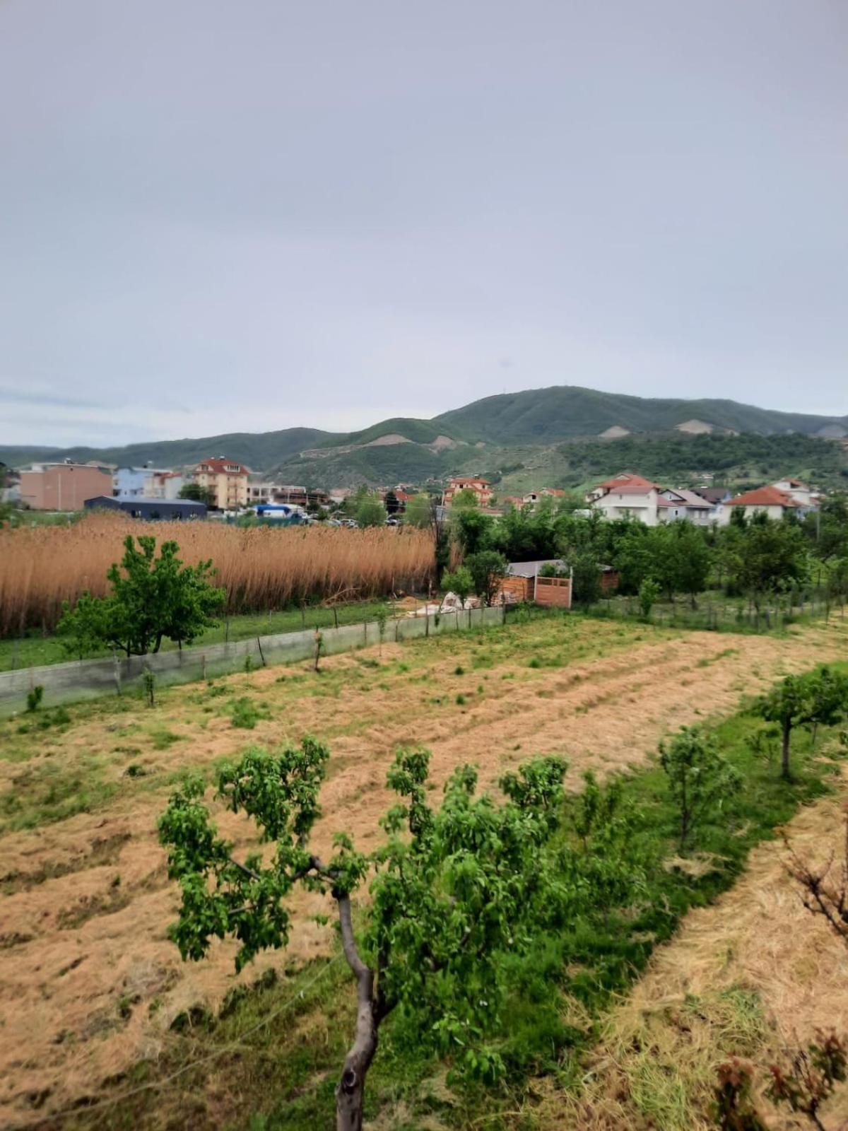 Apartamento Anushe's Pogradec